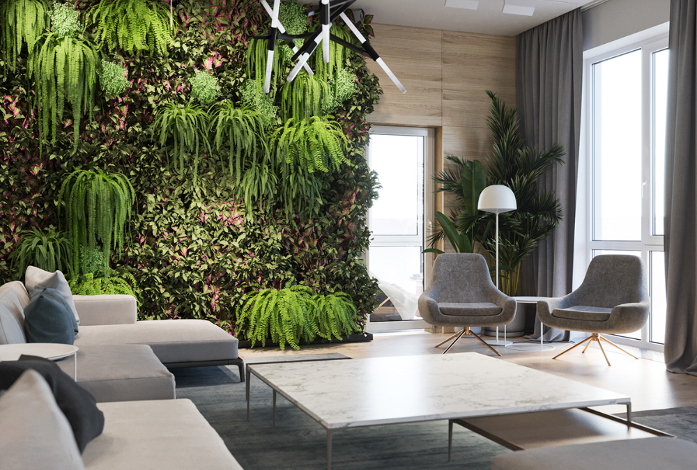 BEST PLANTS FOR INDOORS