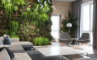 BEST PLANTS FOR INDOORS
