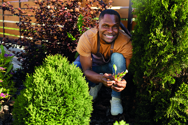 garden services