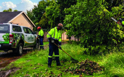 Garden Services Near Me