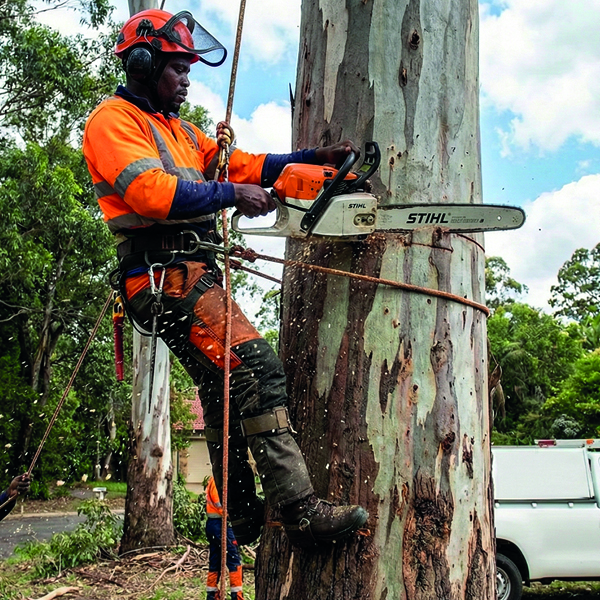 tree felling services